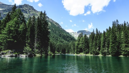 green pine trees near lake under blue sky during daytime photo