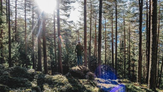 person standing in rock on forest during daytime photo