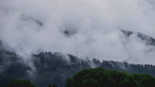 clouds covering trees photo