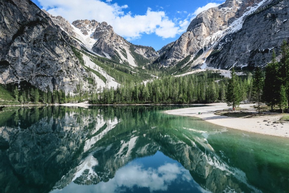 green trees near lake and mountains during daytime