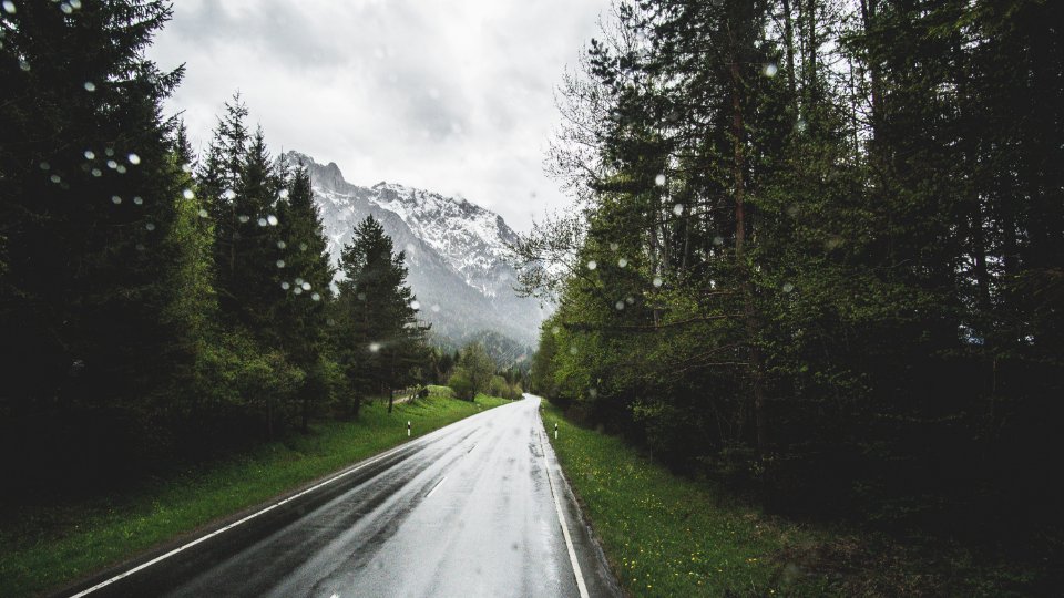 gray asphalt road surrounded by trees during daytime photo