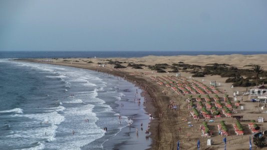 people on beach during daytime