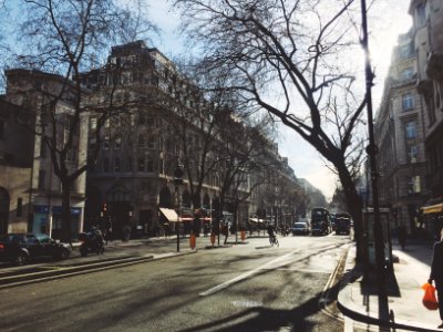 gray road beside building photo