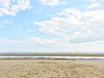 shoreline during daytime
