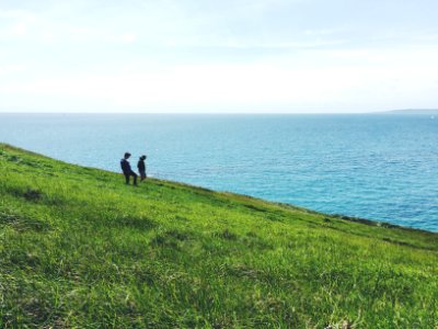 two person standing on green grass facing ocean