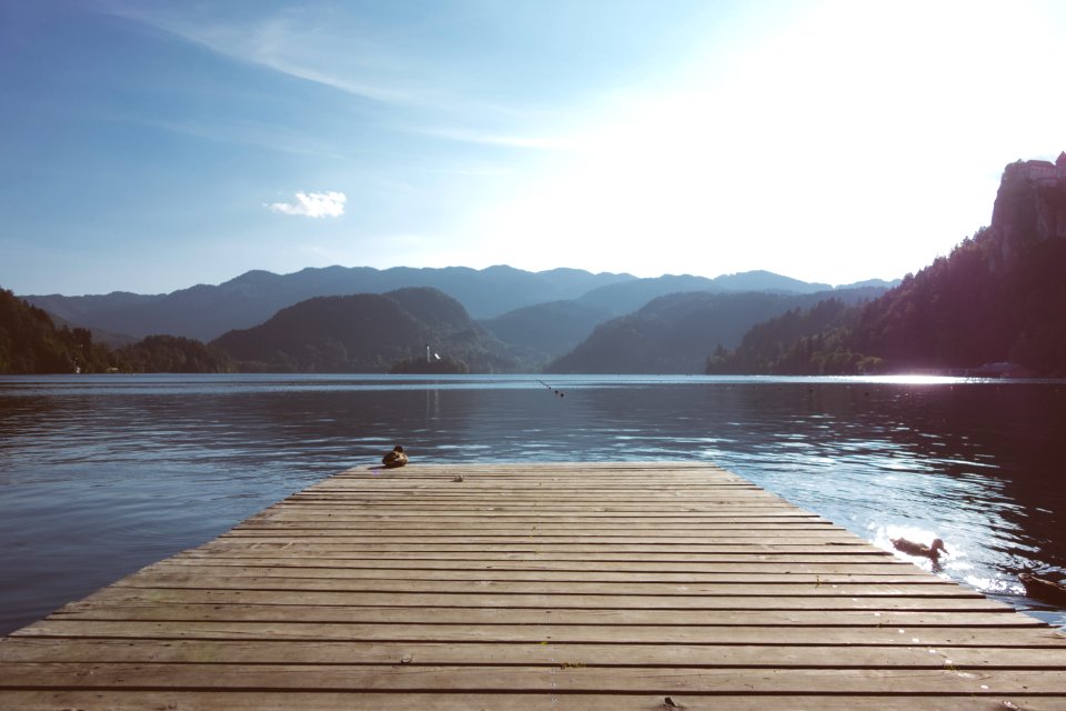 wooden dock under clear sky