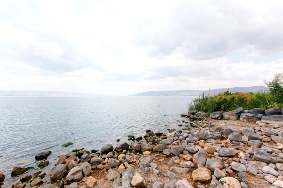 stones beside river