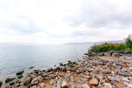 stones beside river photo