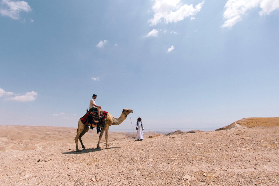 person ride on camel on desert photo