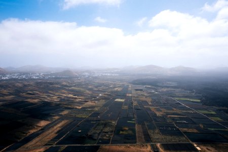 aerial view of rice field under clouded sky photo