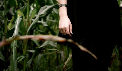 person standing near green plants