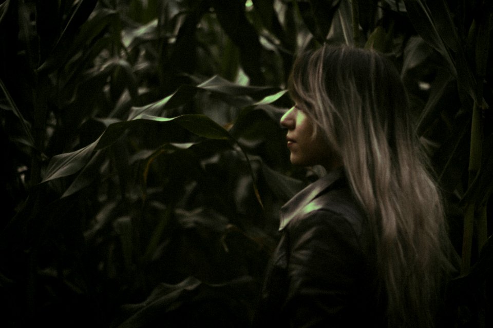 Explore, Corn, Model