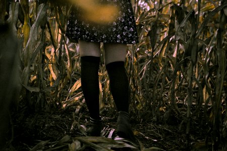 person wearing black skirt close-up photography photo