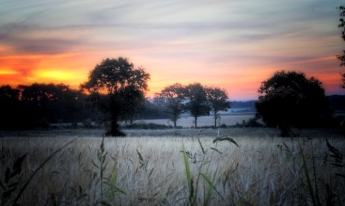 Lledolonne, France, Field