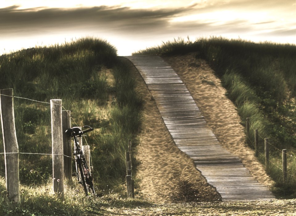 Ocean, Beach, Bicycle