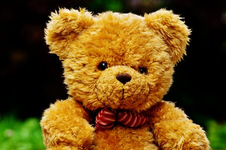 Toys funny bears