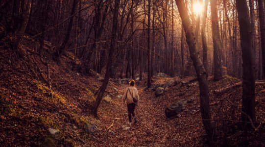 A woman walking through a forest in the afternoon photo