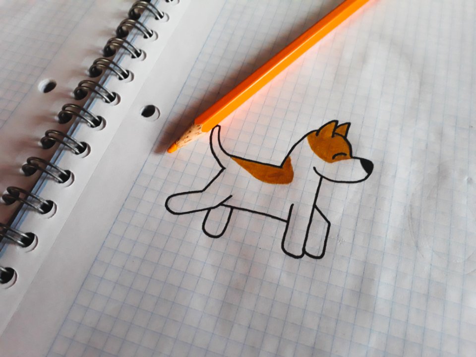 Drawing a dog on graph paper.