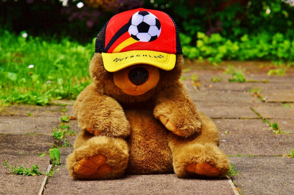 Teddy france tournament