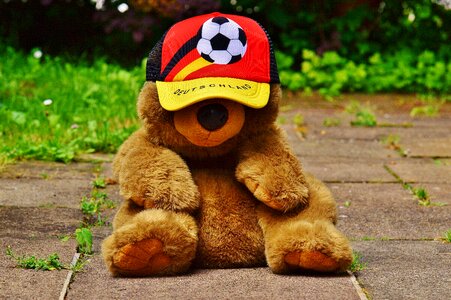 Teddy france tournament