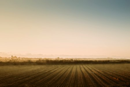 Country, Farming, Field