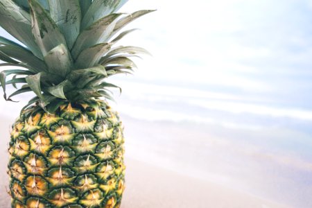 pineapple with body of water background photo