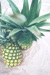 two pineapples photo
