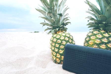rectangular black Nixon portable Bluetooth speaker near two pineapples photo