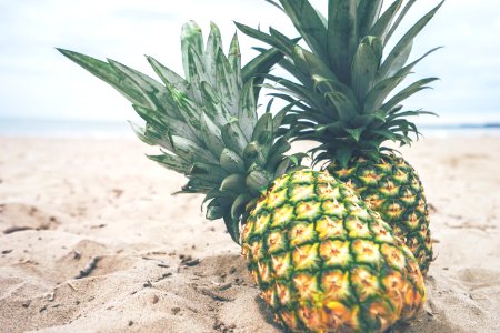 two yellow pineapples photo
