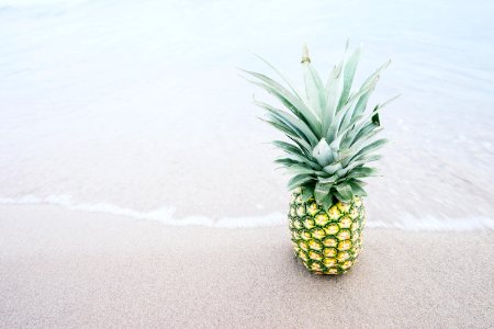 photography of pineapple fruit beside seashore during daytime photo
