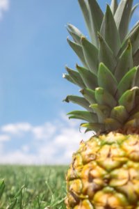 Jalna blvd, Sky, Pineapple