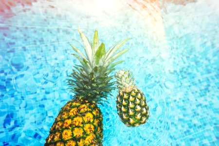 two pineapples on body of water photo