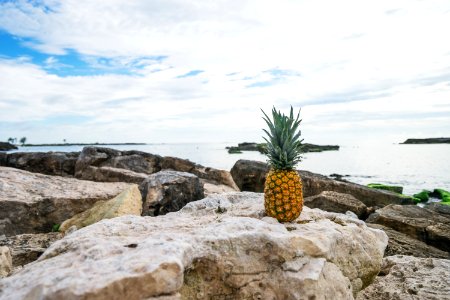 Sirenis riviera maya resort, Akumal, Mexico