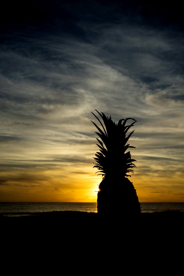 Sunset, Sirenis riviera maya resort, Akumal
