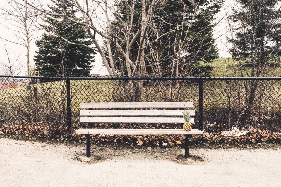 White oaks park, London, Canada
