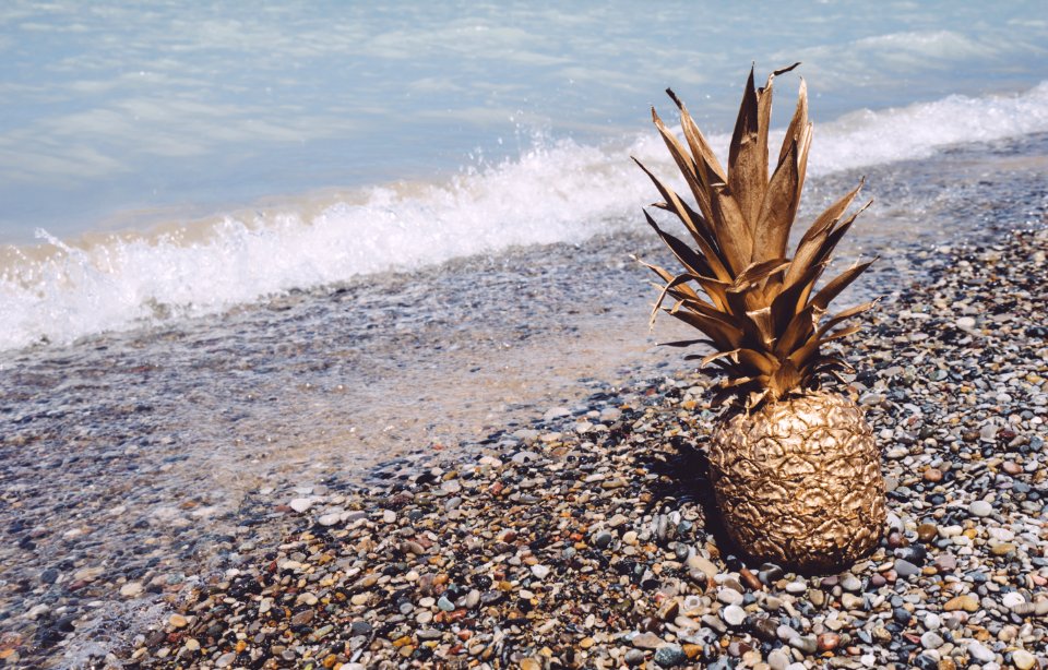 Wave, Summer, Pinery provincial park