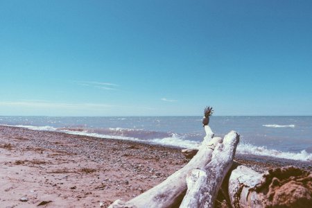 Pinery provincial park, Lambton shores, Canada
