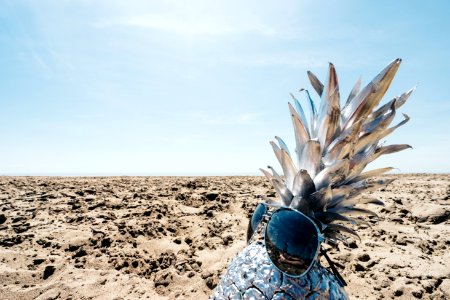 Port stanley, Canada, Silver pineapple