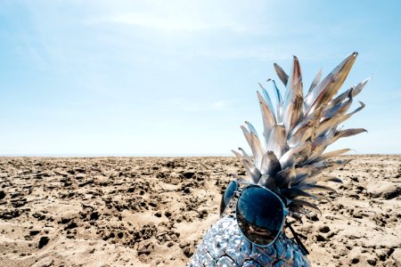 Port stanley, Canada, Silver pineapple photo