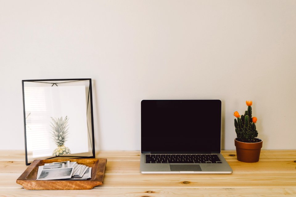 MacBook Pro beside cactu