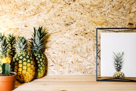 pineapple fruit and succulent plant photo