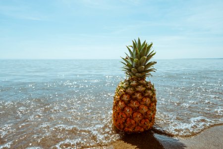 pineapple fruit on seashore photo