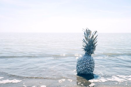 grey pineapple on sea during daytime photo