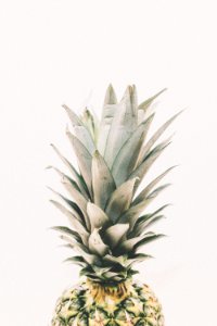 green pineapple close-up photography photo