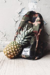 pineapple fruit leaning on camouflage backpack photo