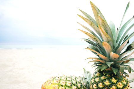 2 pineapples across seashore photo