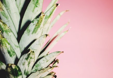 Pineapple, Crown, Fruit