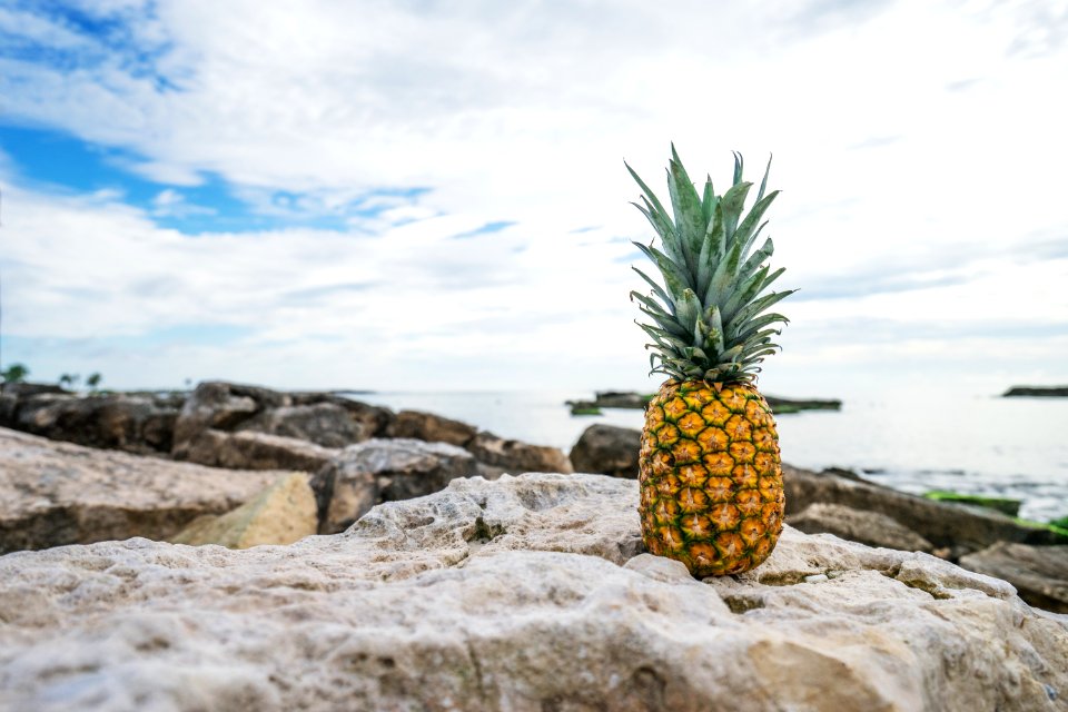 pineapple on stone near body of water
