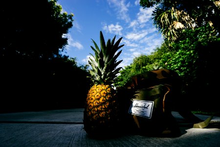 pineapple fruit beside Herschel crossbody bag on gray concrete road