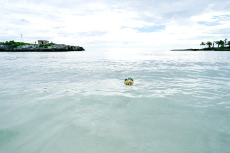 Sirenis riviera maya resort, Akumal, Mexico photo
